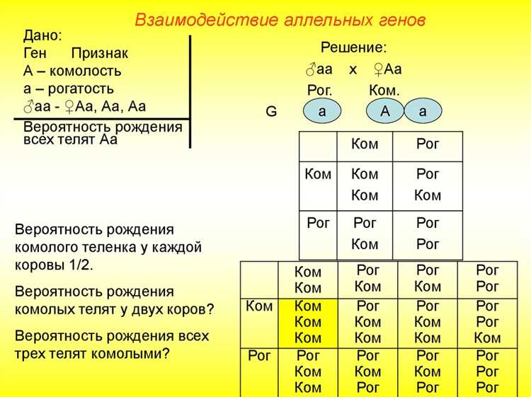 Этика и ответственность в изучении аллельных генов