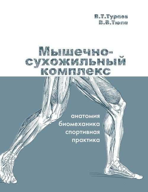 Как правильное питание поддерживает анатомические нужды атлетов