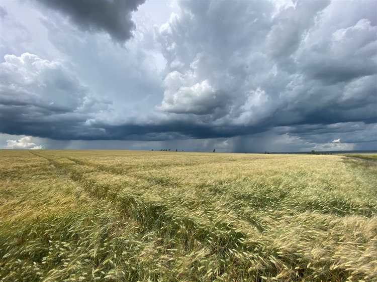 Аренда земли как выгодный бизнес