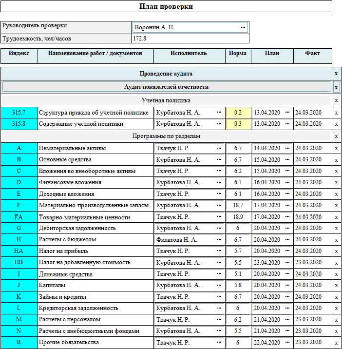 Использование программного обеспечения для оптимизации аудиторских процедур