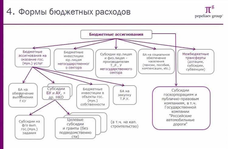 Автономные организации в бюджетной сфере России