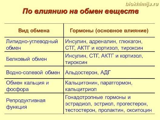 Белковый обмен веществ