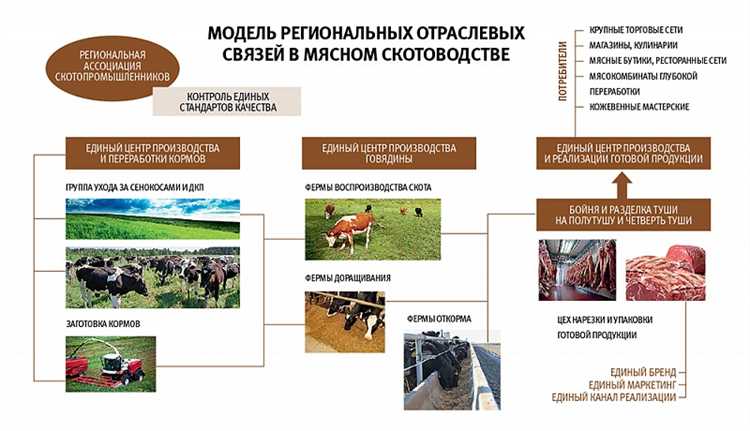 Сертификаты и стандарты: как убедиться в экологичности продукции