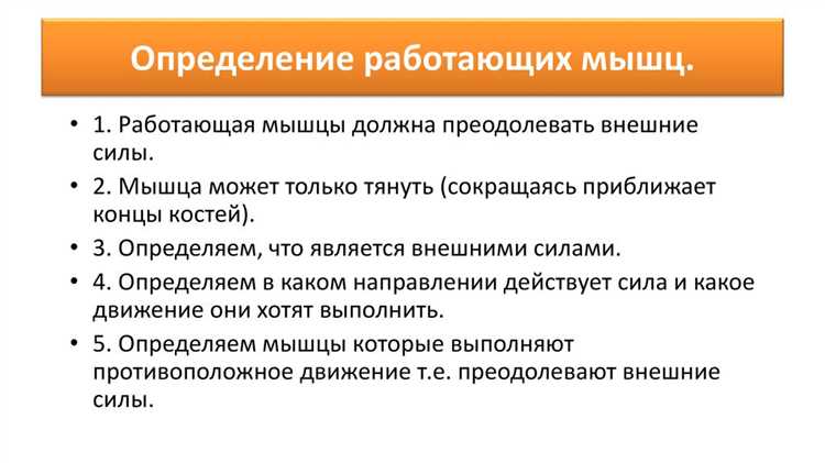 Биомеханика силы