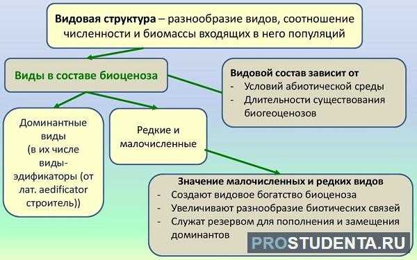 Структура биоценоза и его компоненты