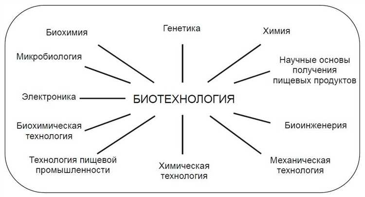 Роль ДНК в передаче генетической информации