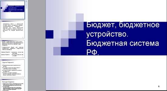 Контроль за исполнением бюджета