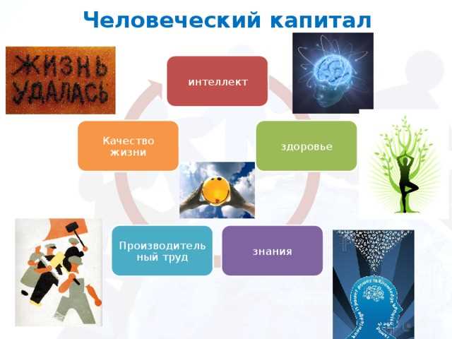 Стратегии управления талантами для оптимизации человеческого капитала