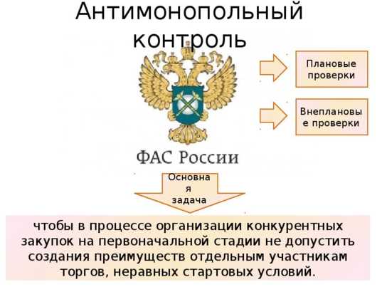 Роль ФПГ в экономике страны