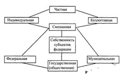 Роль фирмы в рыночной экономике