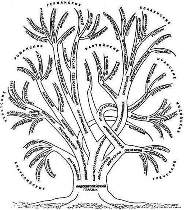 Что такое языковые семьи и ветви в генеалогии?