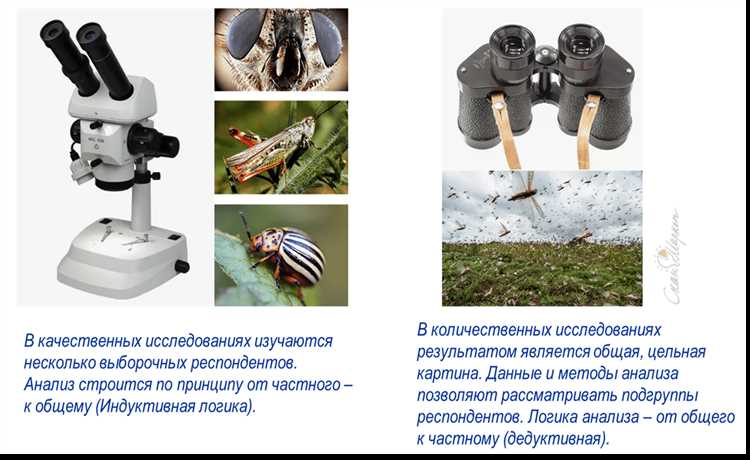 Эффективные стратегии качественного сбора данных