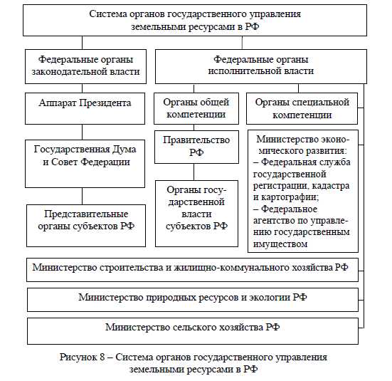 Специальные органы и их функции