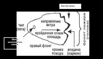 Особенности проведения развертывания сил и средств при сильном ветре. пожарная тактика