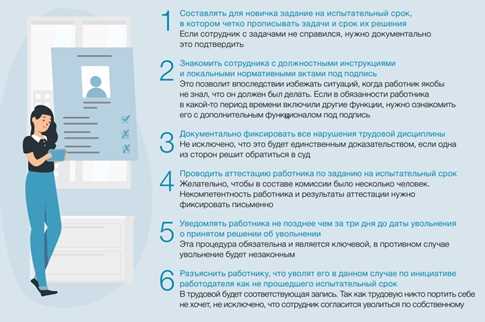 Правительство РФ — правовое положение и современные проблемы организации и функционирования