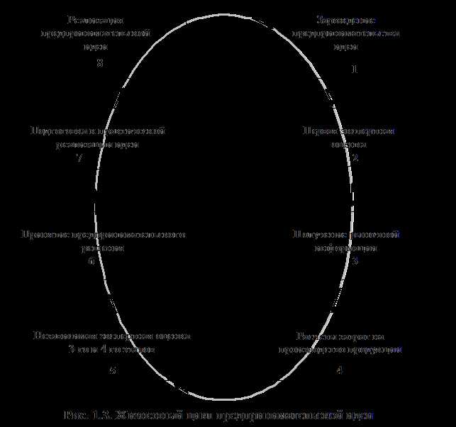 Предприятие и экономическое обоснование предпринимательской деятельности