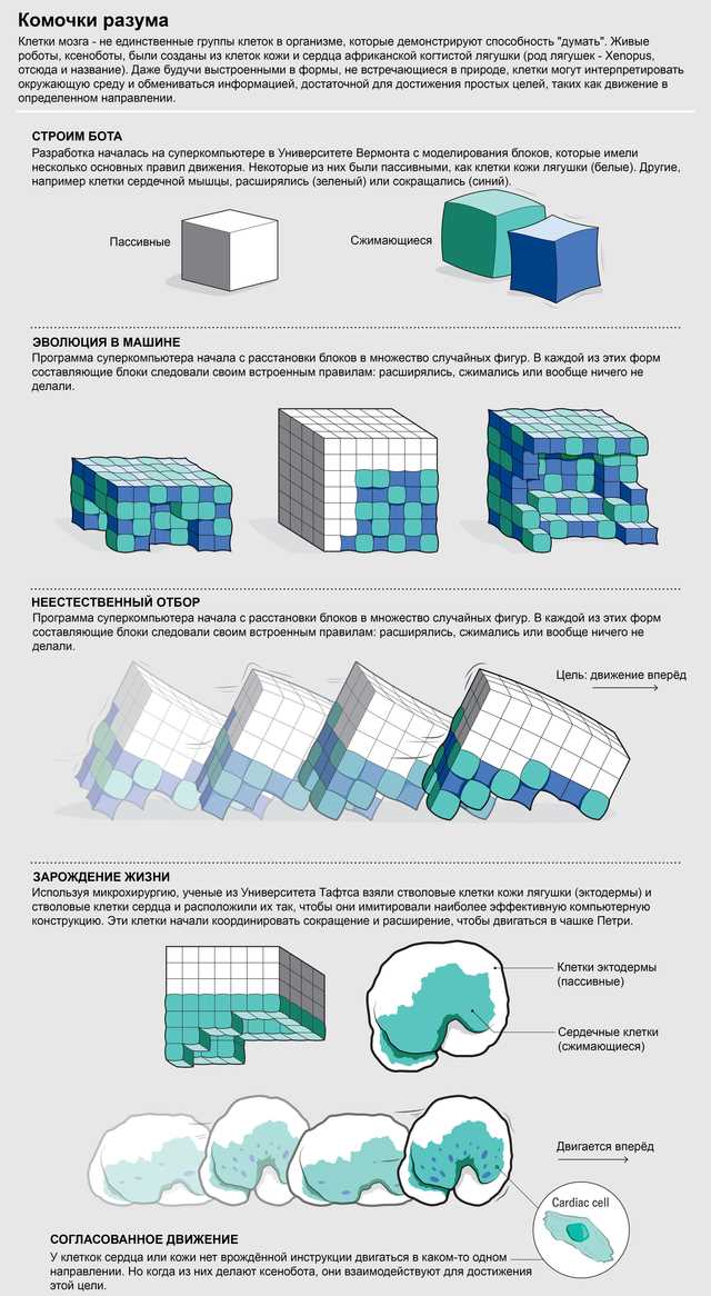 Природа виды способностей Способности человека и их влияние на природу