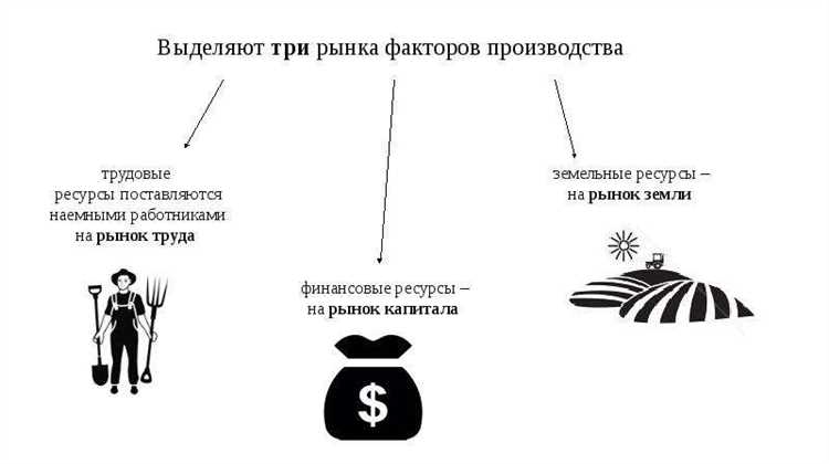 Капитал в экономике: виды и их влияние на развитие бизнеса