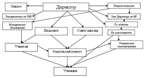 Разновидности административных правонарушений