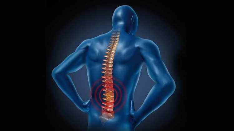 Нервная регуляция и координация движений при стоянии