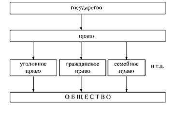 Соотношение законности и правопорядка: практические примеры